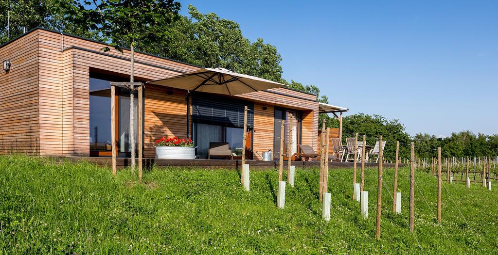 Weingarten-Resort Unterlamm Loipersdorf - Adults Only Eksteriør billede